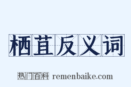 栖苴反义词是什么意思的图片